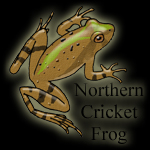 cricketfrog.jpg