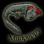 mudpuppy1.jpg